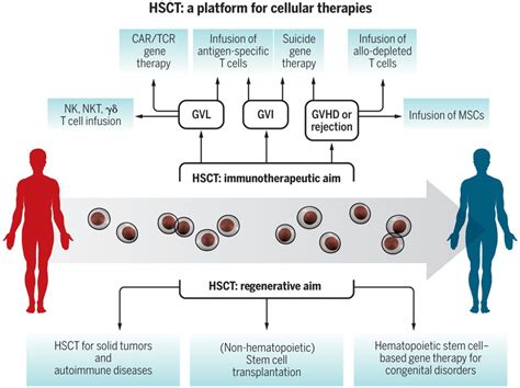 bone marrow transplant pcso|Hematopoietic Stem Cell Transplantation .